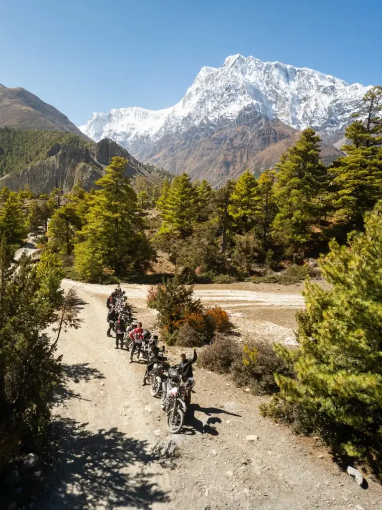 Our riders lined up on a forest trail below the snow peaks of the Annapurna range in Manang